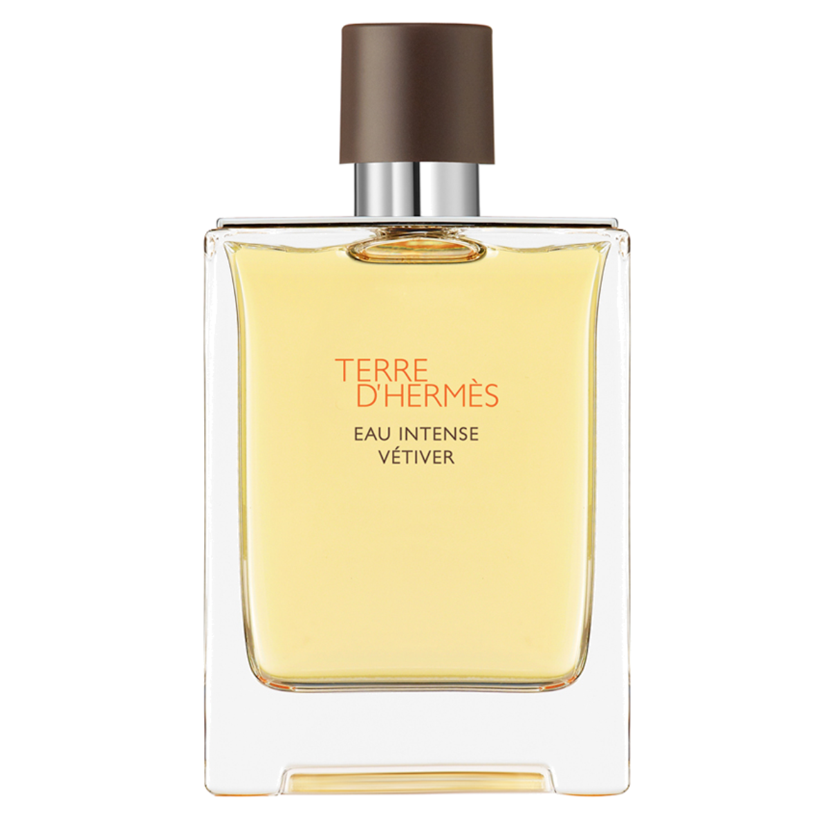 Terre d'Hermès Eau Intense Vetiver
